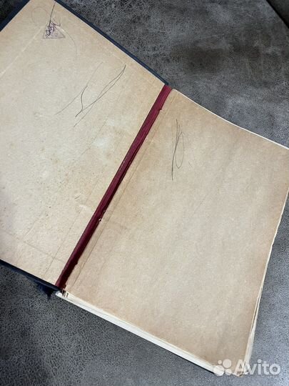 Альфред Брем (Брэм), Жизнь животных Птицы