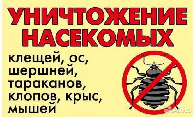 Уничтожение клопов и тараканов дезинфекция