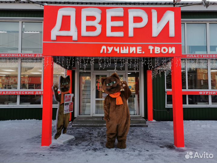 Дверь межкомнатная в эмали