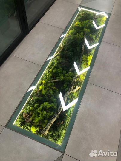 Озеленение мхом