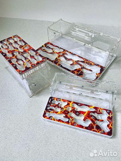 Муравьиная ферма с муравьями