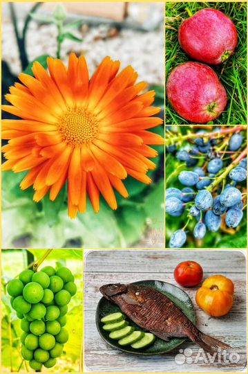 Монтаж видео. Семейные фильмы,видеоролики,слайдшоу