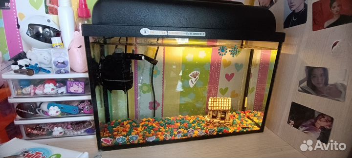 Аквариум и принадлежности для него