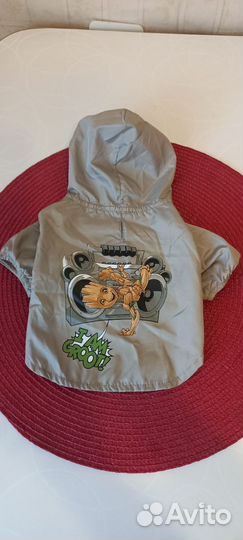 Одежда для маленьких собак бу