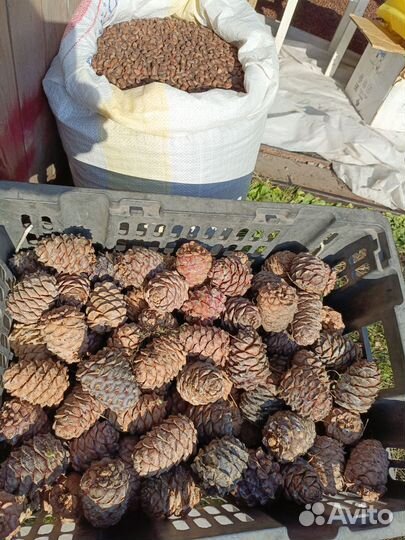 Продукты питания