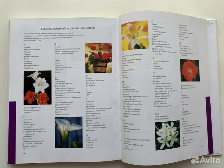 Альбом-энциклопедия кошка