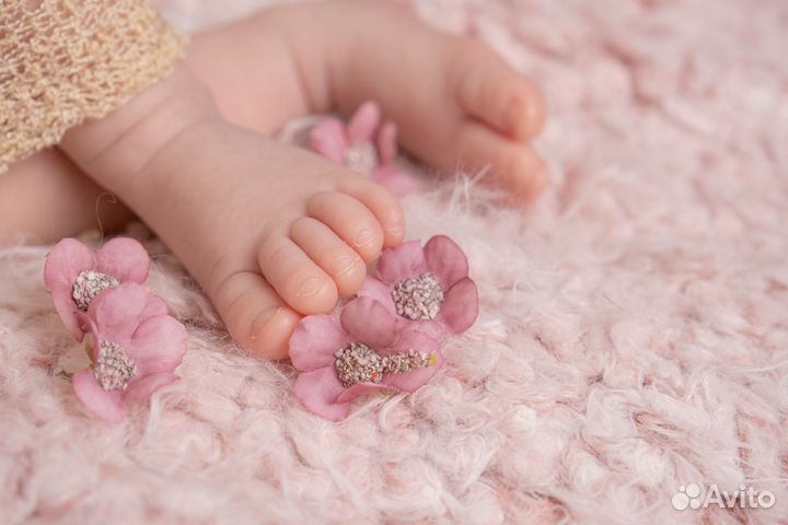 Фотограф новорожденных