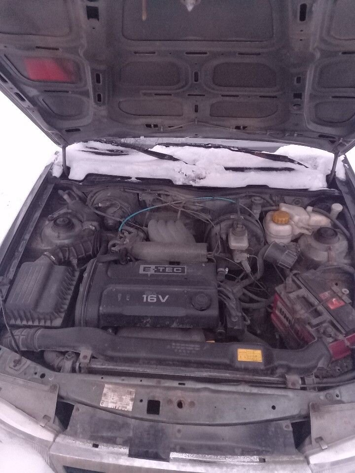 Daewoo Nexia: фото владельца