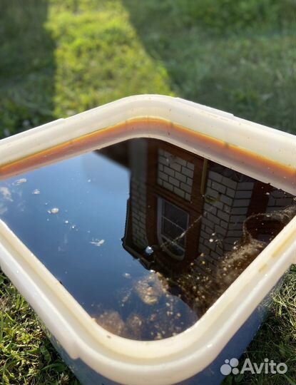 Мед оптом с Алтая / Экспорт в Китай и снг