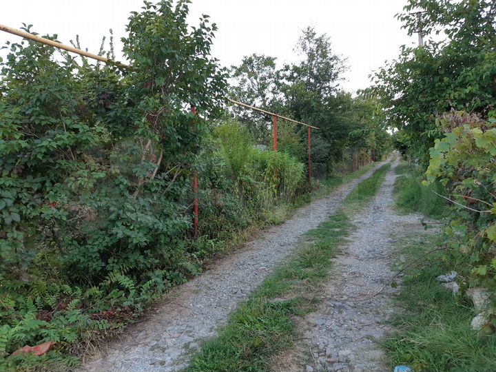 Участок 10 сот. (СНТ, ДНП)