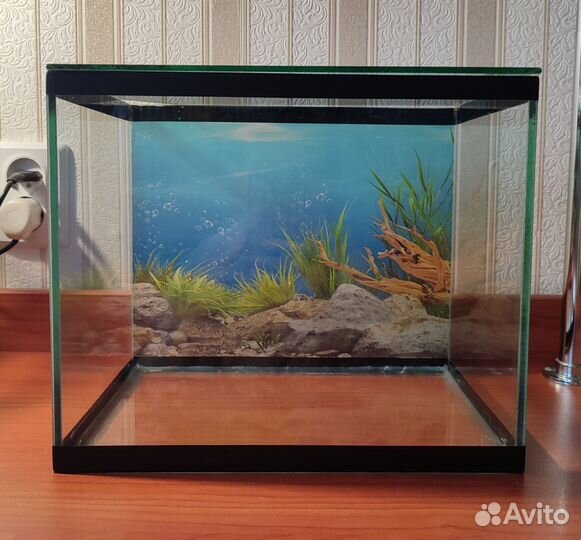 Аквариум
