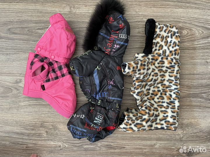 Одежда для маленьких собак