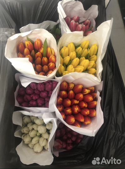 Тюльпаны в розницу