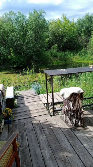 Участок 11,8 сот. (СНТ, ДНП)