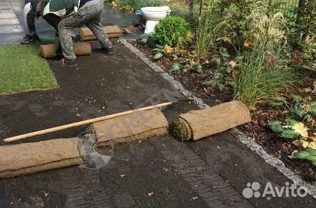 Газон рулонный гарантия