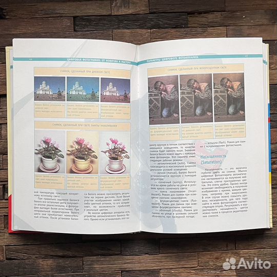 Цифровая фотография от новичка к мастеру