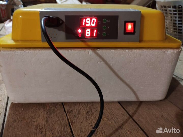 Инкубатор для яиц автоматический WQ-24