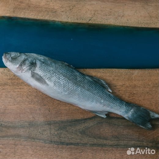 Сибас/Дорадо