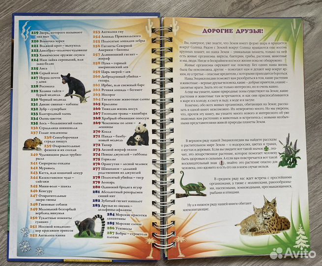 Энциклопедия живой природы для младших школьников
