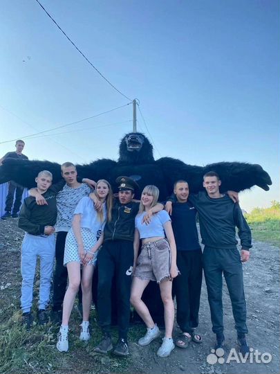 Поздравление