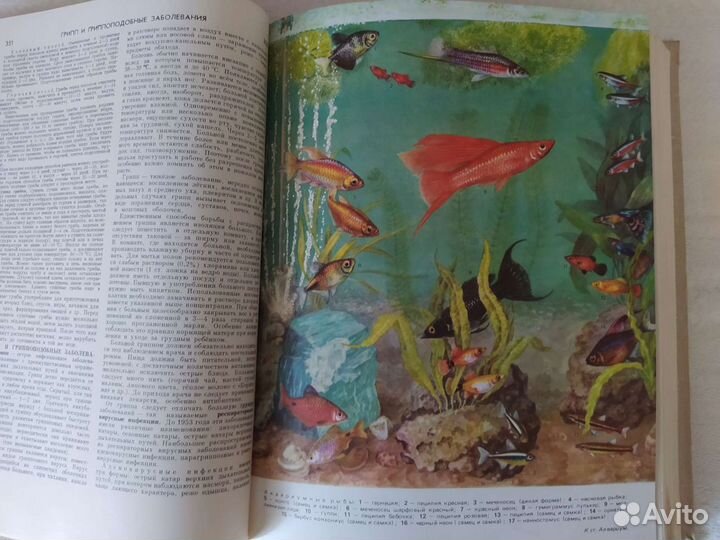 Книга краткая энциклопедия домашнего хозяйства