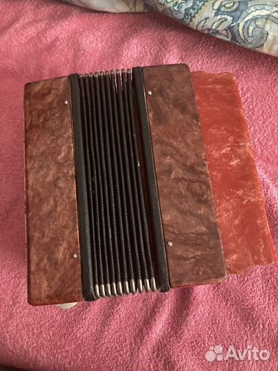 Гармонь теза