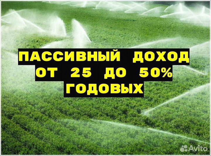 Поиск инвестора пассивный доход