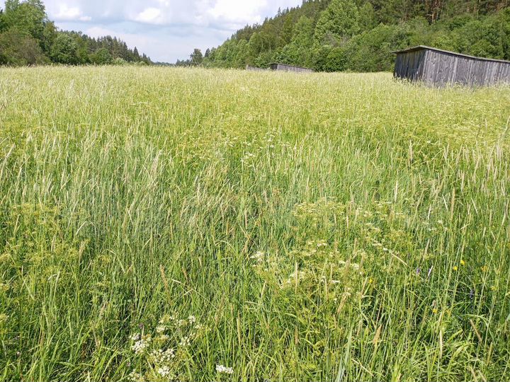 Участок 15 сот. (СНТ, ДНП)