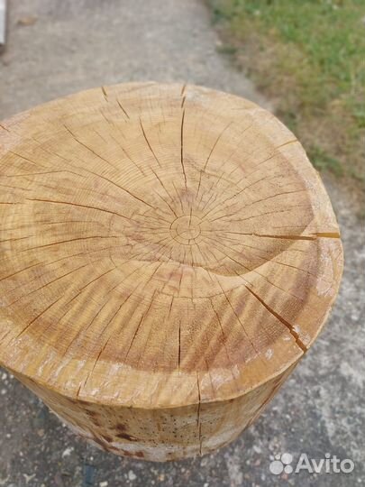 Спилы дерева для декора кедр и ангарская сосна