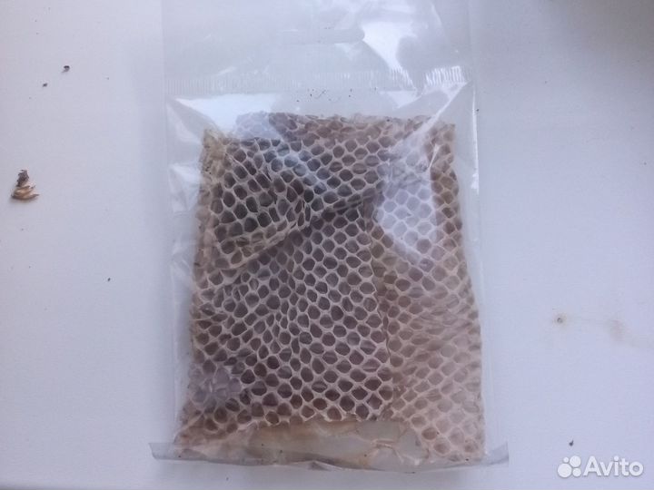 Змеиная линька