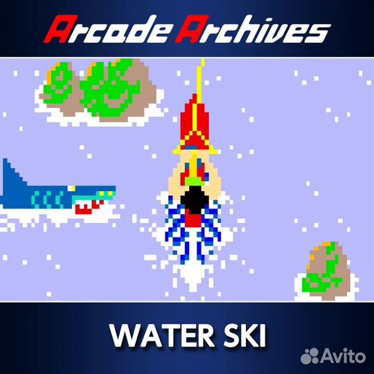 Arcade Archives water SKI PS4/PS5