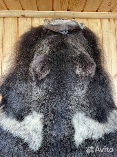 Шкура медведя (имитация)