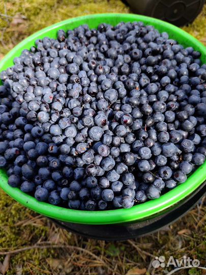 Черника с доставкой