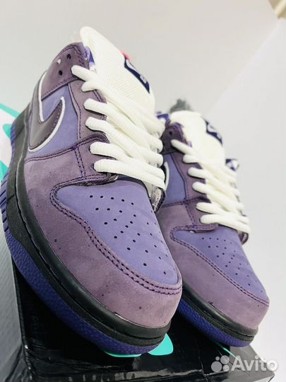 Nike SB Dunk Low Concepts Purple Lobster