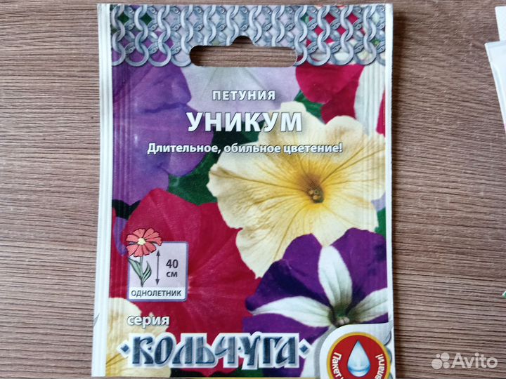 Рассада петунии для пикировки