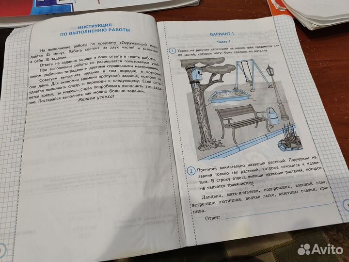 Впр окружающий мир, математика