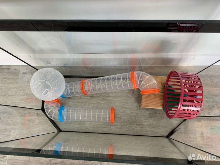 Аквариум для грызуна