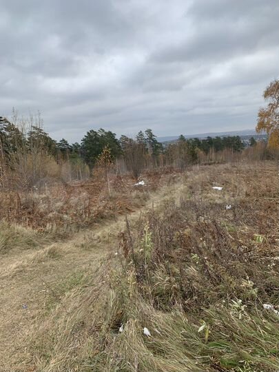 Участок 11 сот. (ИЖС)