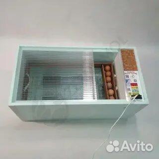 Инкубатор блиц норма 72 цифровой