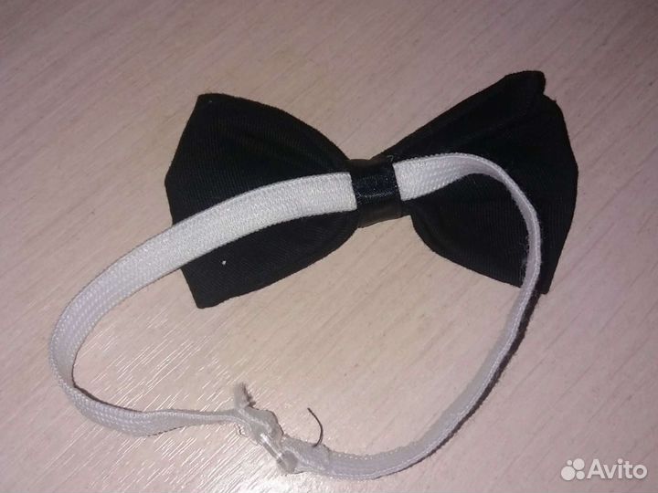 Бабочка новая