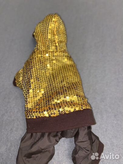 Костюм для маленькой собаки