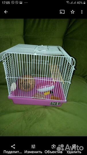 Клетка для хомячка, и все, что в ней