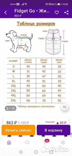 Одежда для собак