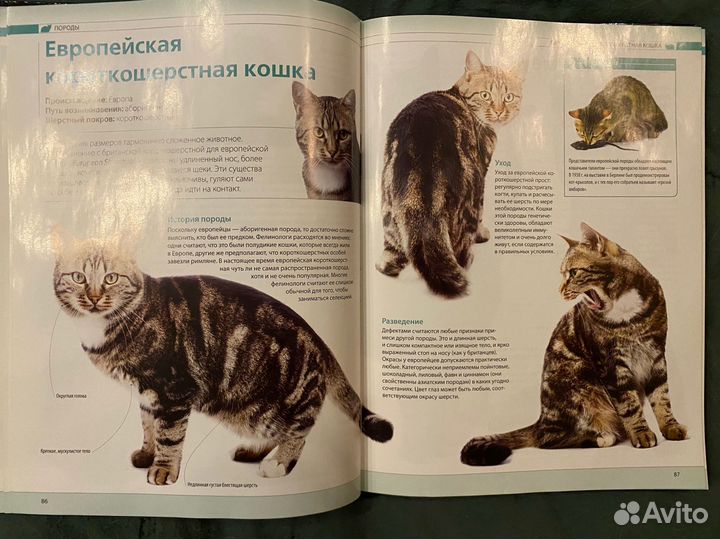 Самая полная иллюстрированная энциклопедия 