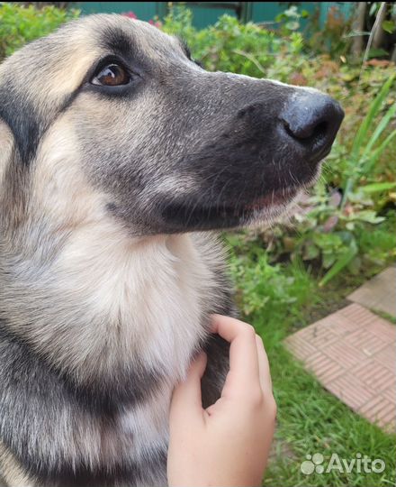 Мальчик ищет дом