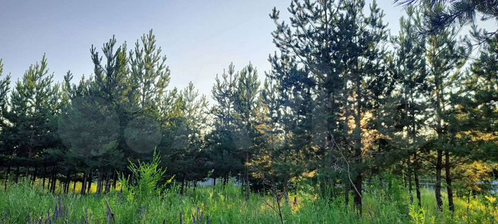 Участок 17 сот. (ИЖС)