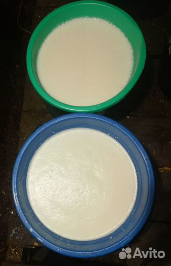 Домашнее молоко и сыр