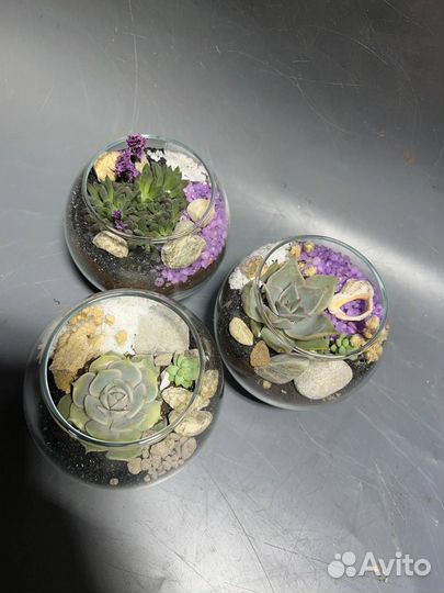 Флорариумы «Супермини»