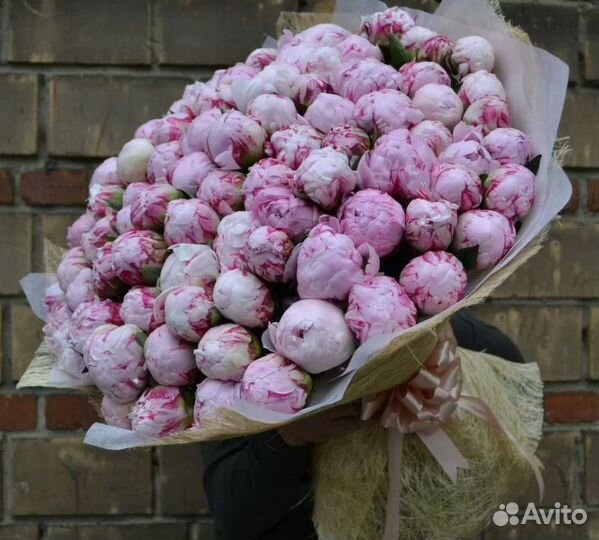 Пионы букет