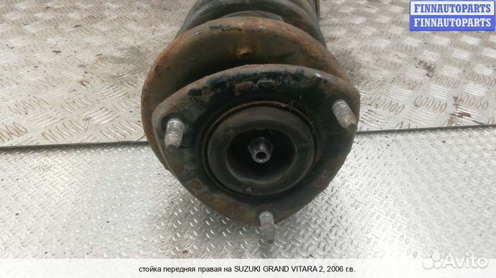 Амортизатор перед/право Suzuki Grand Vitara II (JB, TD54), 2006 1.9 Дизель